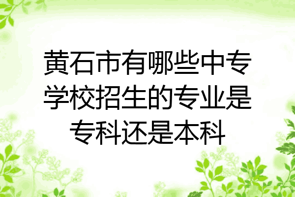 黄石市有哪些中专学校招生的专业是专科还是本科