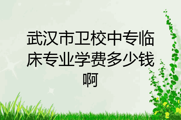 武汉市卫校中专临床专业学费多少钱啊