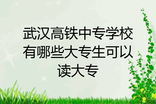 武汉高铁中专学校有哪些大专生可以读大专