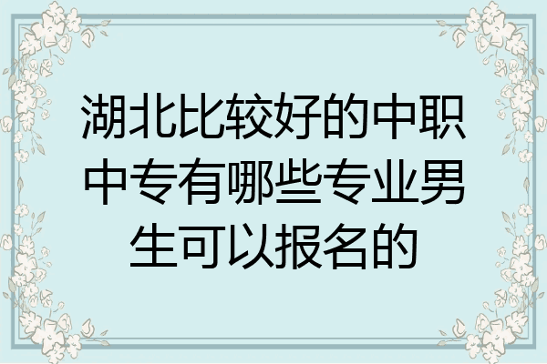 湖北比较好的中职中专有哪些专业男生可以报名的