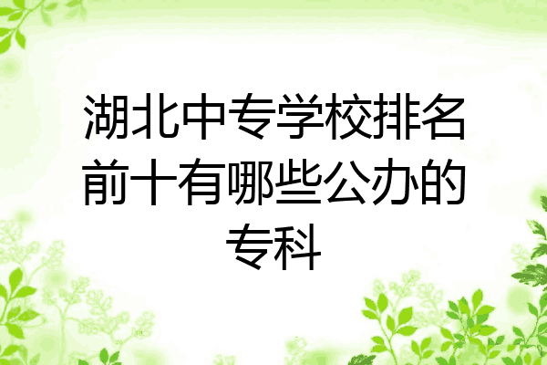 湖北中专学校排名前十有哪些公办的专科