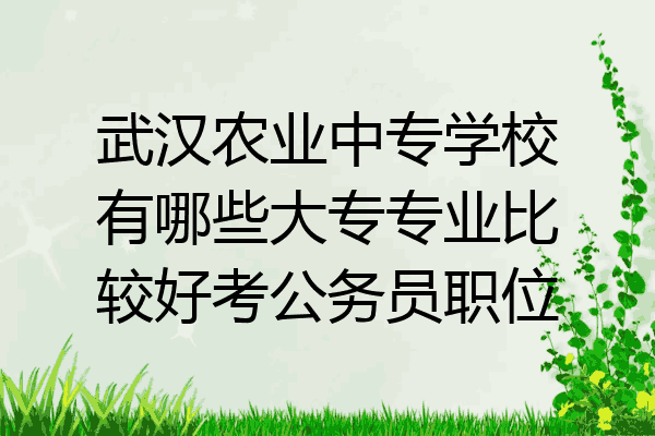 武汉农业中专学校有哪些大专专业比较好考公务员职位