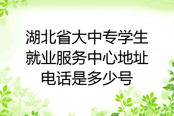 湖北省大中专学生就业服务中心地址电话是多少号