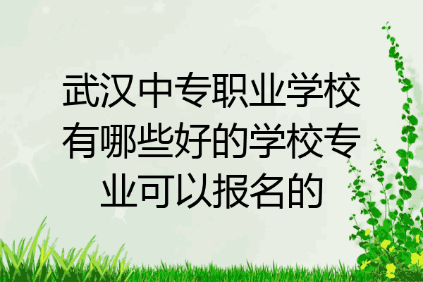 武汉中专职业学校有哪些好的学校专业可以报名的