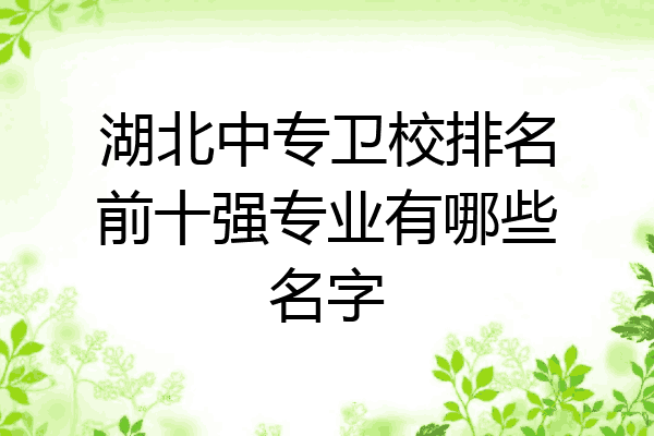 湖北中专卫校排名前十强专业有哪些名字