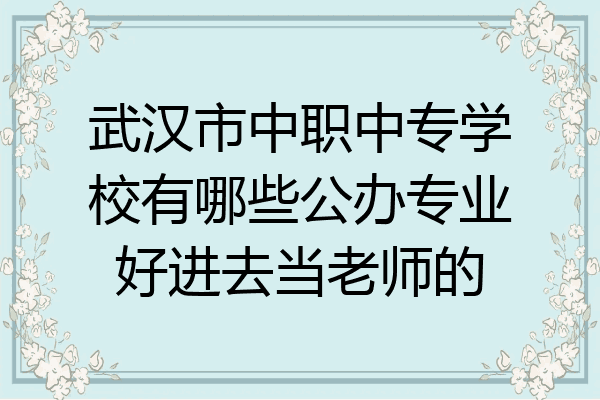 武汉市中职中专学校有哪些公办专业好进去当老师的