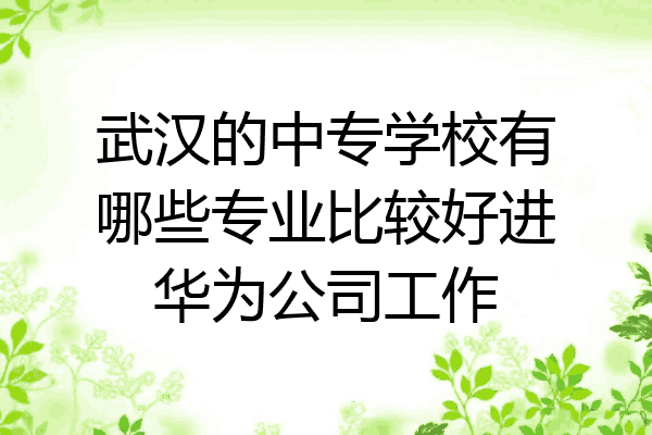武汉的中专学校有哪些专业比较好进华为公司工作
