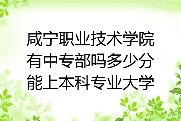 咸宁职业技术学院有中专部吗多少分能上本科专业大学
