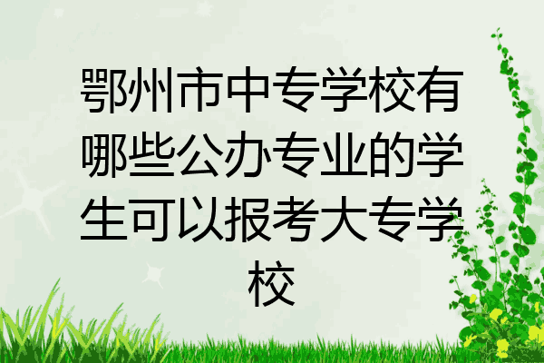 鄂州市中专学校有哪些公办专业的学生可以报考大专学校
