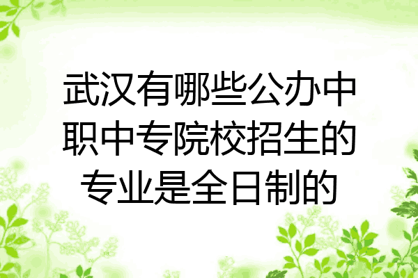 武汉有哪些公办中职中专院校招生的专业是全日制的
