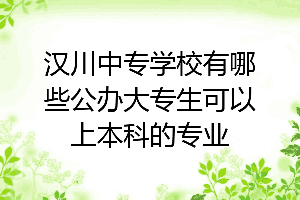 汉川中专学校有哪些公办大专生可以上本科的专业