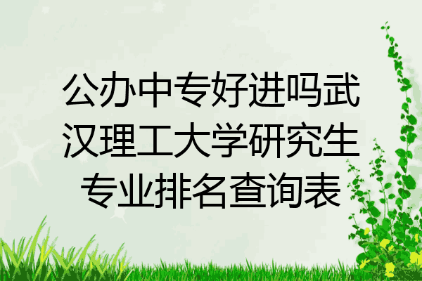 公办中专好进吗武汉理工大学研究生专业排名查询表