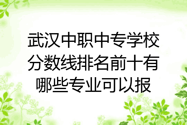 武汉中职中专学校分数线排名前十有哪些专业可以报
