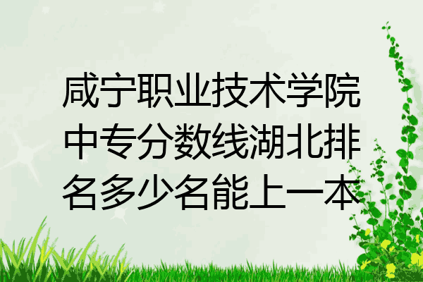 咸宁职业技术学院中专分数线湖北排名多少名能上一本
