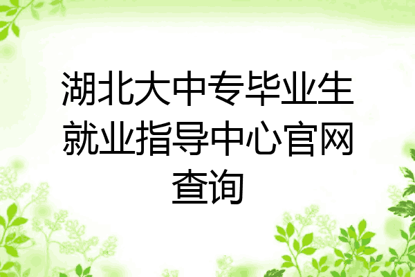 湖北大中专毕业生就业指导中心官网查询