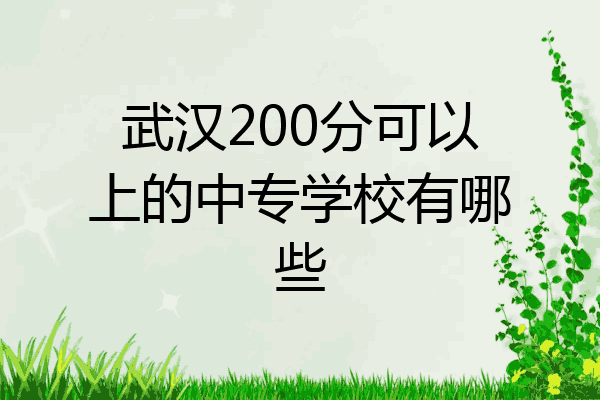 武汉200分可以上的中专学校有哪些