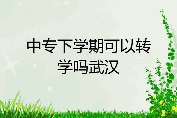 中专下学期可以转学吗武汉