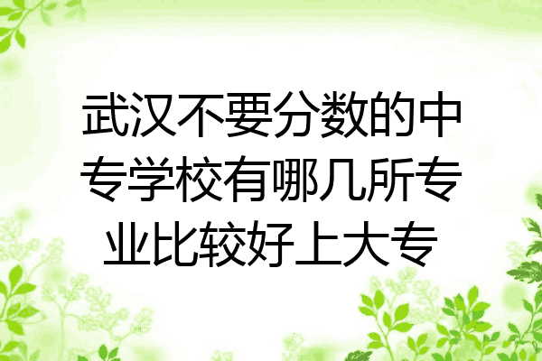 武汉不要分数的中专学校有哪几所专业比较好上大专