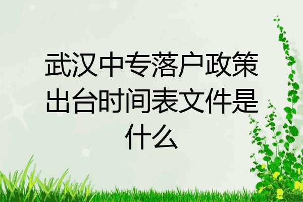 武汉中专落户政策出台时间表文件是什么