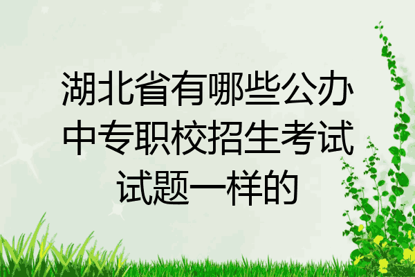 湖北省有哪些公办中专职校招生考试试题一样的
