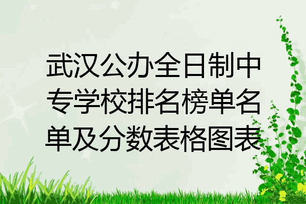 武汉公办全日制中专学校排名榜单名单及分数表格图表