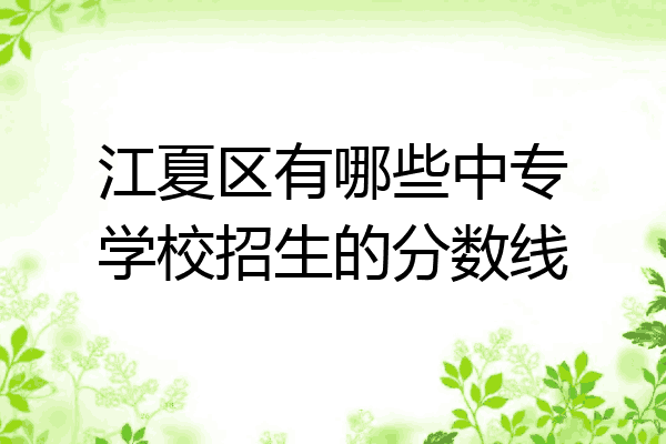 江夏区有哪些中专学校招生的分数线
