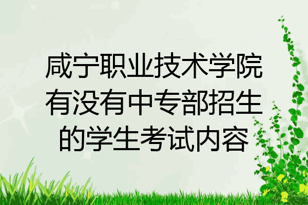 咸宁职业技术学院有没有中专部招生的学生考试内容