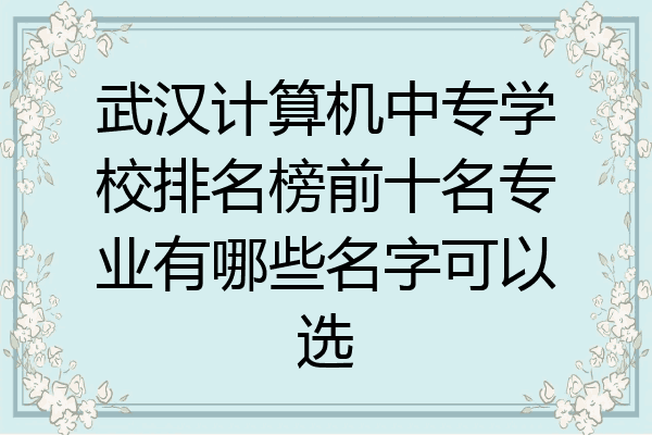 武汉计算机中专学校排名榜前十名专业有哪些名字可以选