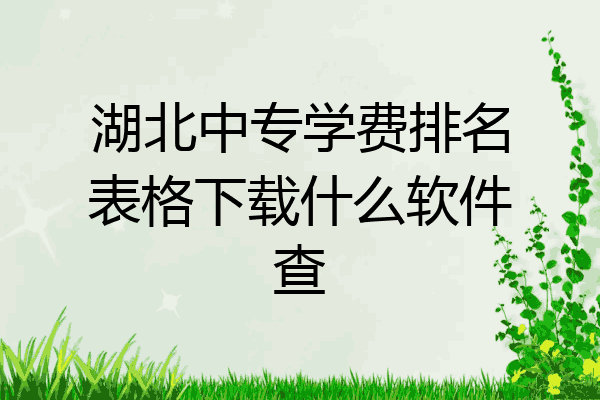 湖北中专学费排名表格下载什么软件查