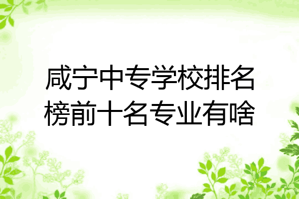咸宁中专学校排名榜前十名专业有啥