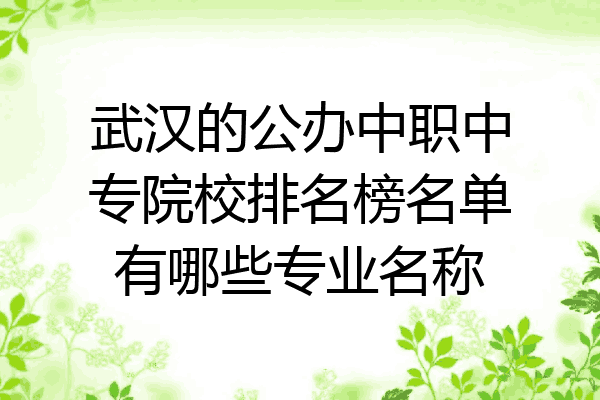 武汉的公办中职中专院校排名榜名单有哪些专业名称