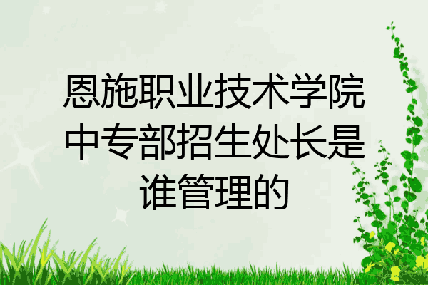 恩施职业技术学院中专部招生处长是谁管理的