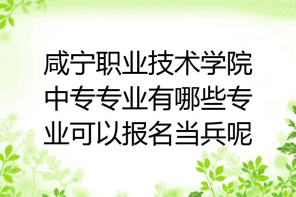 咸宁职业技术学院中专专业有哪些专业可以报名当兵呢