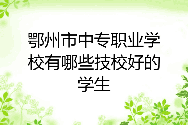 鄂州市中专职业学校有哪些技校好的学生