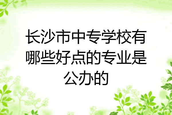 长沙市中专学校有哪些好点的专业是公办的