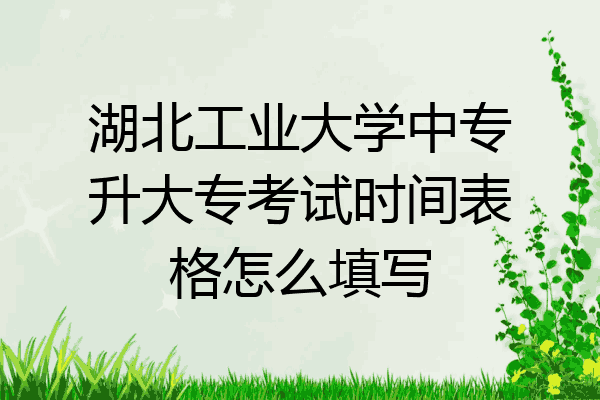 湖北工业大学中专升大专考试时间表格怎么填写