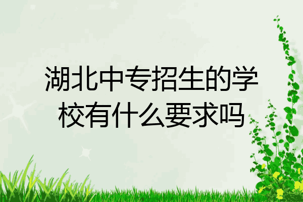 湖北中专招生的学校有什么要求吗