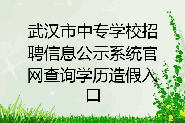 武汉市中专学校招聘信息公示系统官网查询学历造假入口