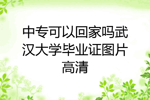 中专可以回家吗武汉大学毕业证图片高清