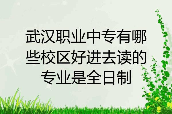 武汉职业中专有哪些校区好进去读的专业是全日制