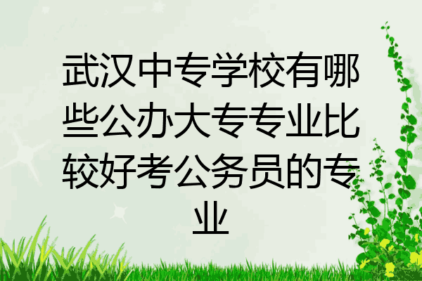 武汉中专学校有哪些公办大专专业比较好考公务员的专业