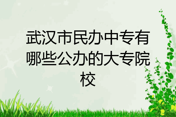 武汉市民办中专有哪些公办的大专院校