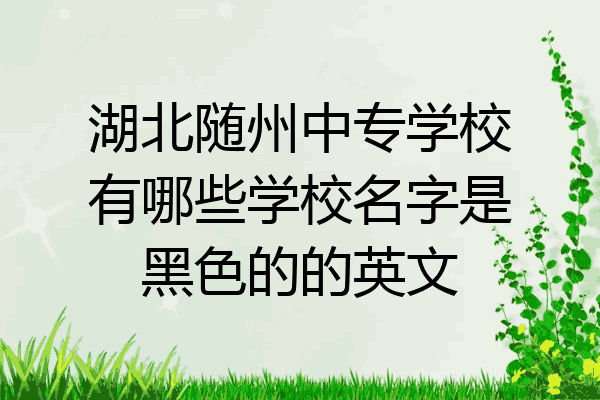 湖北随州中专学校有哪些学校名字是黑色的的英文