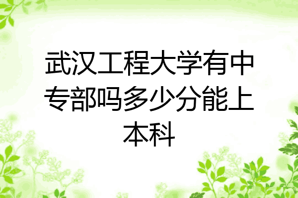 武汉工程大学有中专部吗多少分能上本科