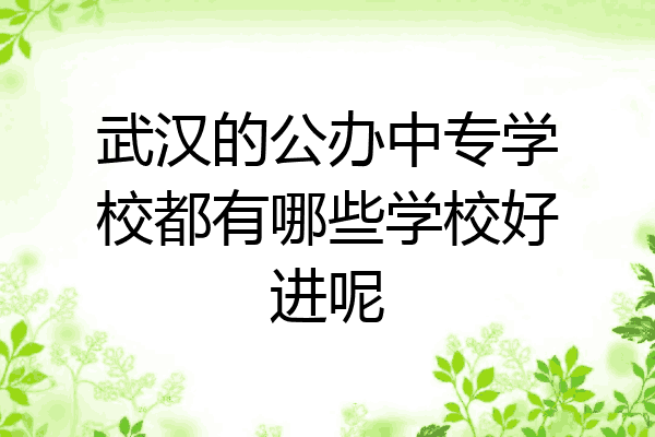 武汉的公办中专学校都有哪些学校好进呢