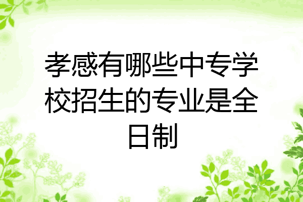 孝感有哪些中专学校招生的专业是全日制