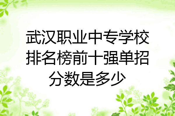 武汉职业中专学校排名榜前十强单招分数是多少
