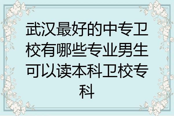 武汉最好的中专卫校有哪些专业男生可以读本科卫校专科
