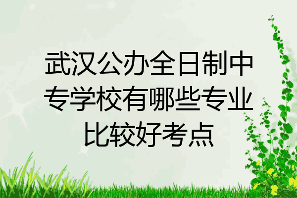 武汉公办全日制中专学校有哪些专业比较好考点