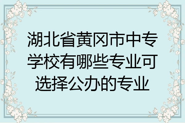湖北省黄冈市中专学校有哪些专业可选择公办的专业